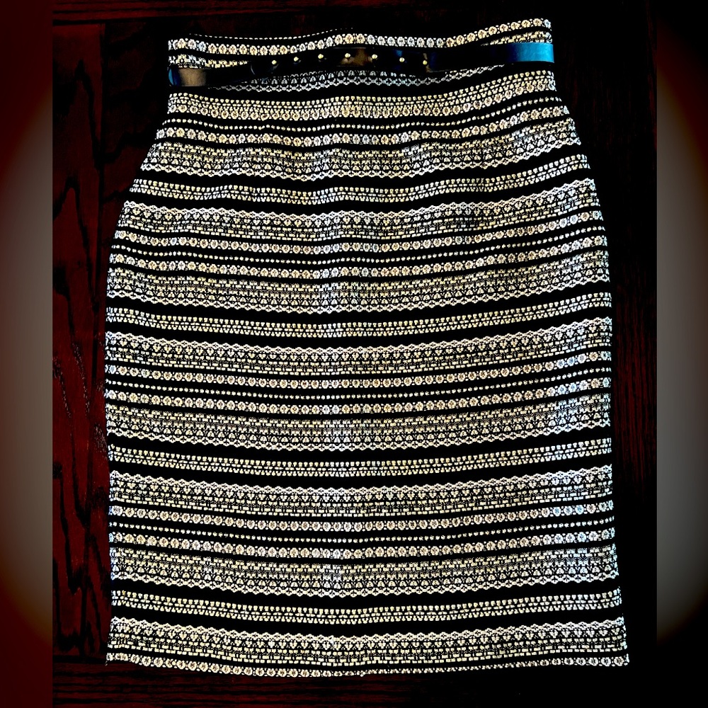 Antonio Melani Black Pencil Skirt with Metallic Gold Stripes and Belt.